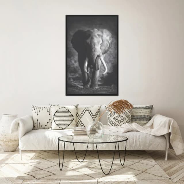 Quadro Decorativo Elefante