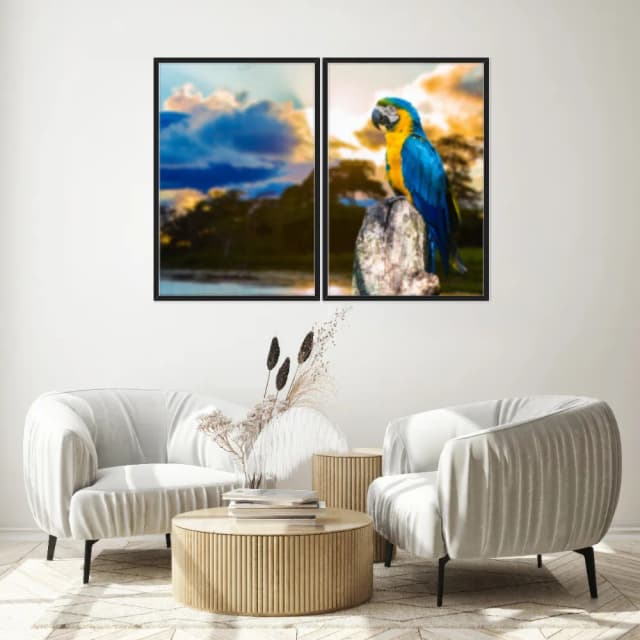 Kit Quadros Decorativos Arara Azul